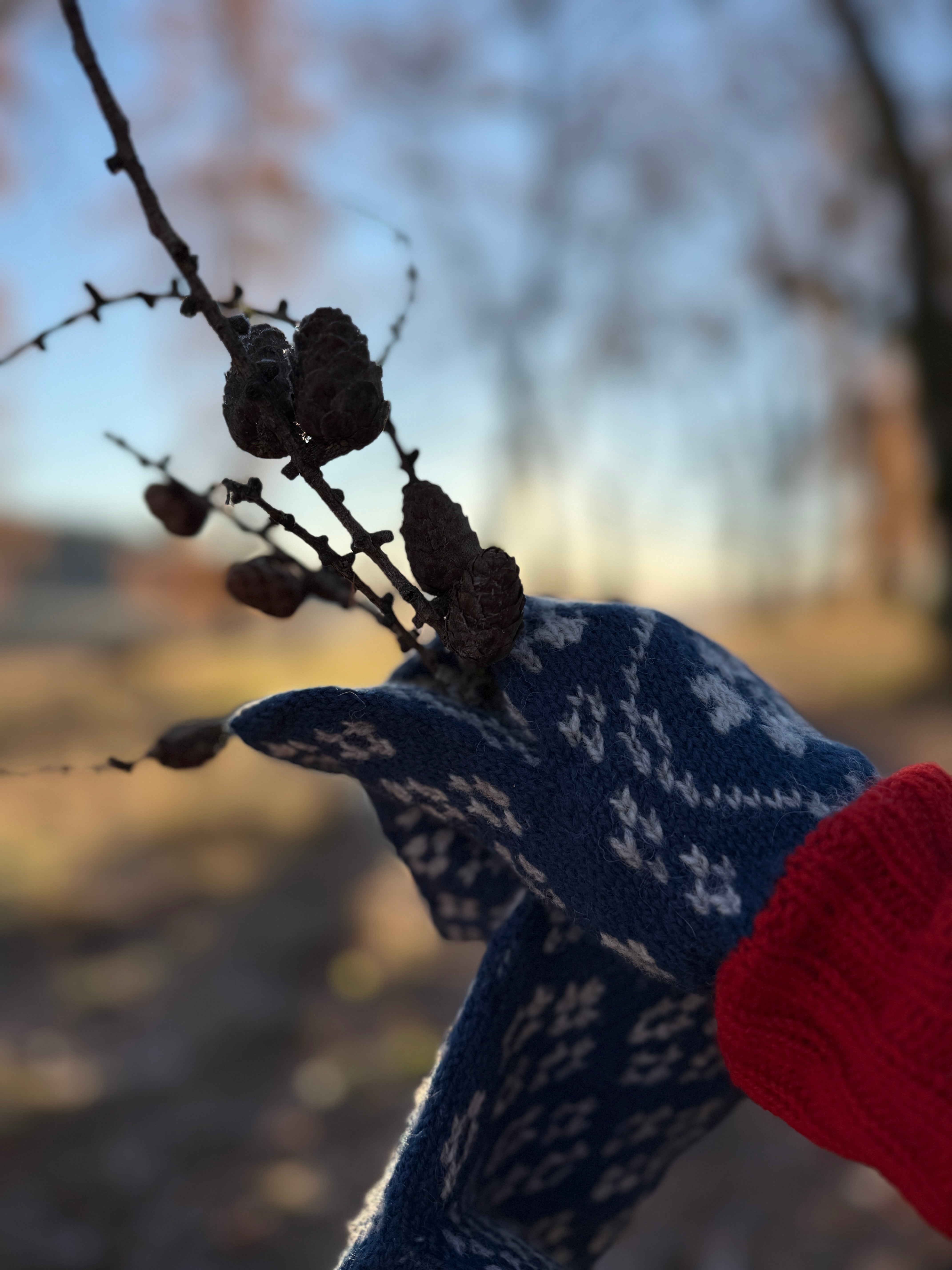 Materialpakke Trønderbunad vott - blå